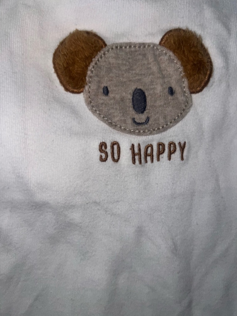 Baby Boy 6M Outfit Bundle Hoodie Pants Onesie Bear Neutral Carter’s Baby Boy lot - Picture 2 of 5